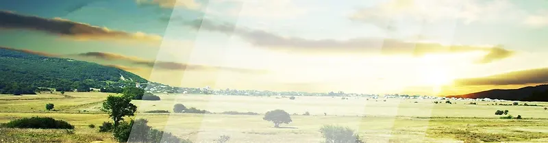 �Ա�����-������