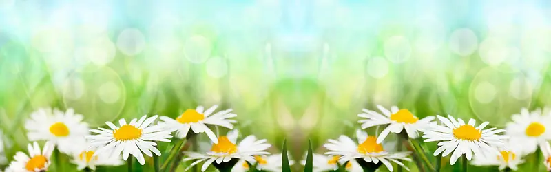 �Ա�����-������