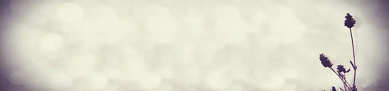 �Ա�����-������