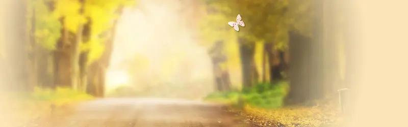 �Ա�����-������