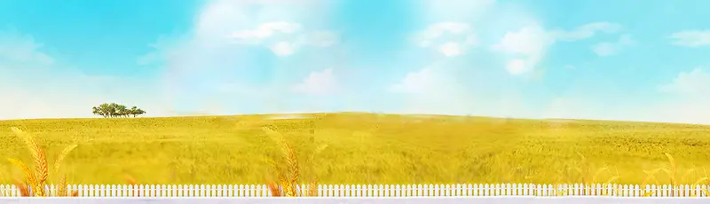 �Ա�����-������