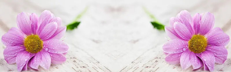 �Ա�����-������