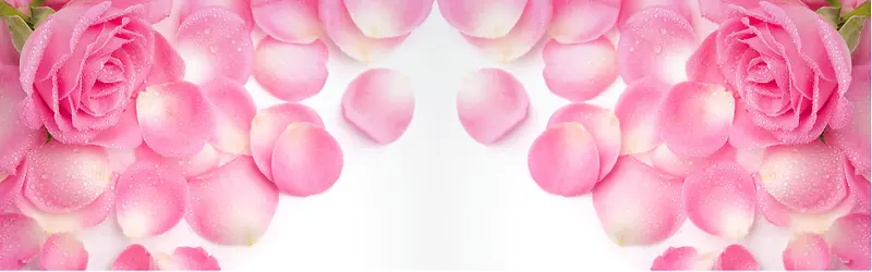 �Ա�����-������