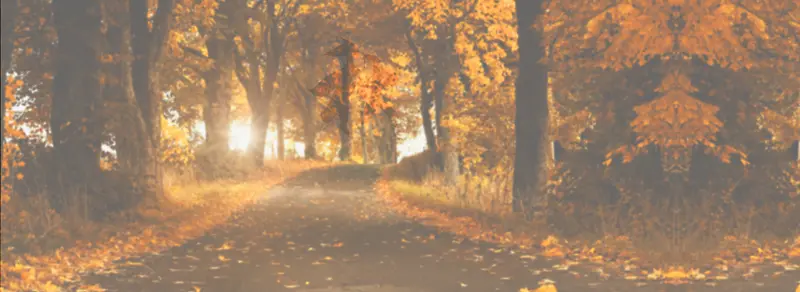 �Ա�����-������