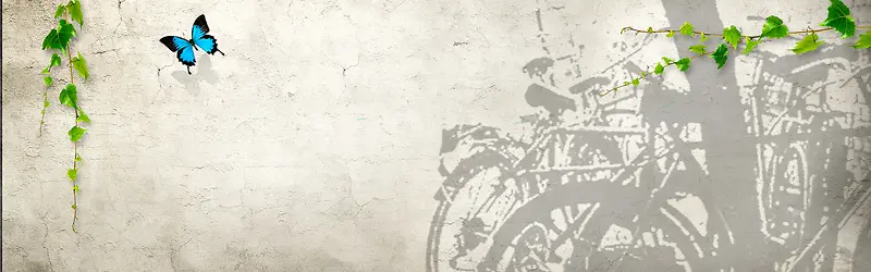 �Ա�����-������