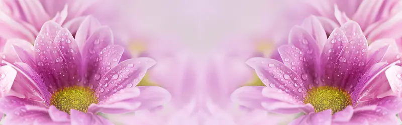 �Ա�����-������