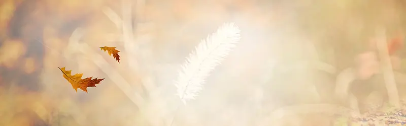 �Ա�����-������