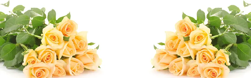 �Ա�����-������