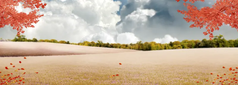 �Ա�����-������