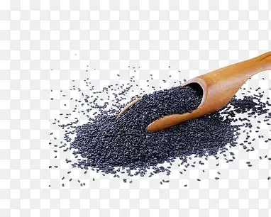 ��֥��-������