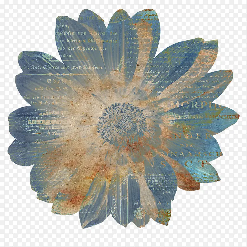 ���⻨-������