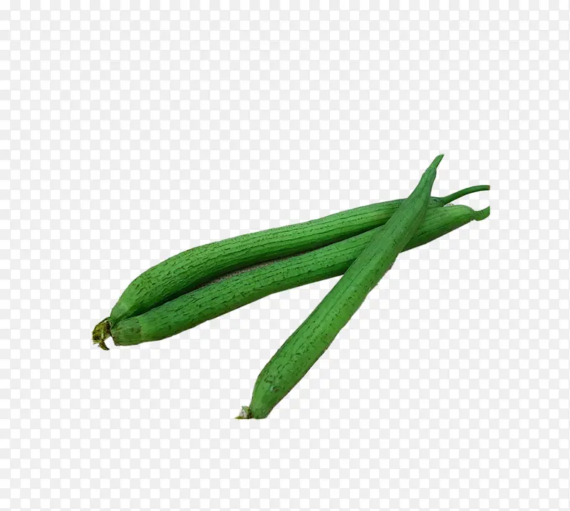 ʳ��-������