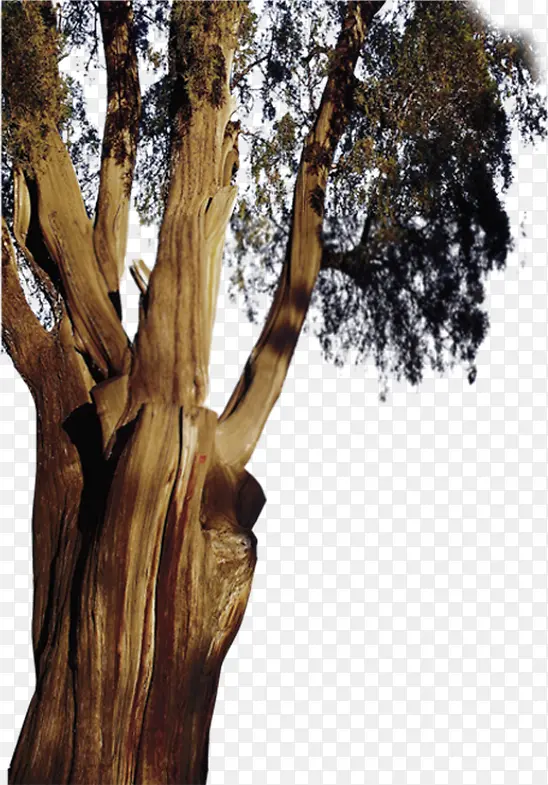 ��-������