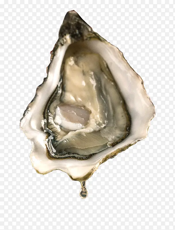 �������Ұ��-������