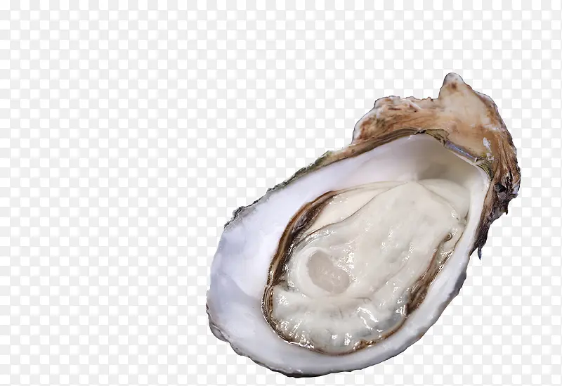 ��ɽ�������-������