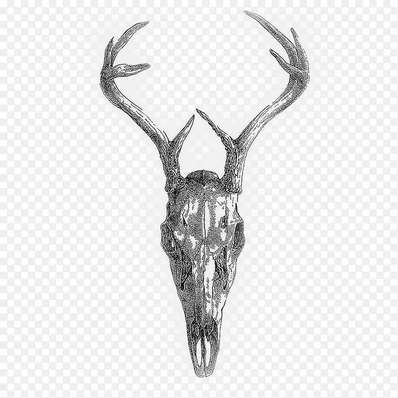 ���� ��ͷ-������