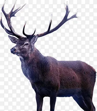 ����������-������