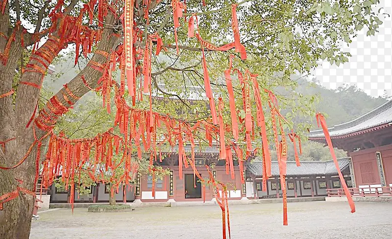 ���������Ը��-������