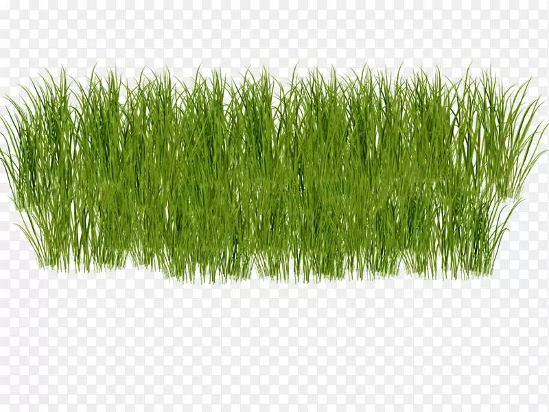 �ݱ�ֲ���դͼ�μ����������ʲ�-������