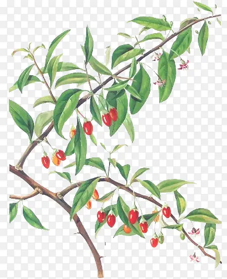 �ֻ����-������