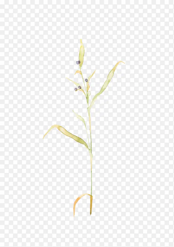 �ֻ�����-������