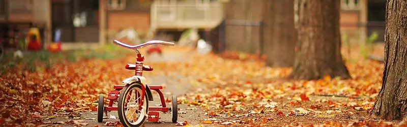 ���ⱳ��-������