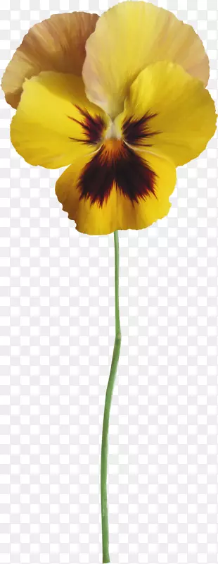 ����������.ˮ�ʻ���-������