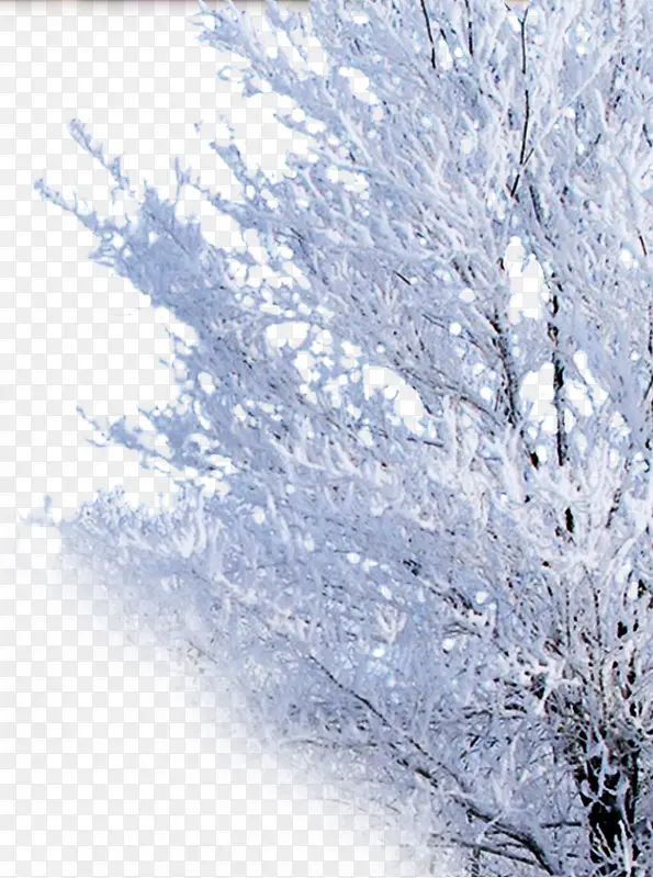 ������ڡ��֦-������