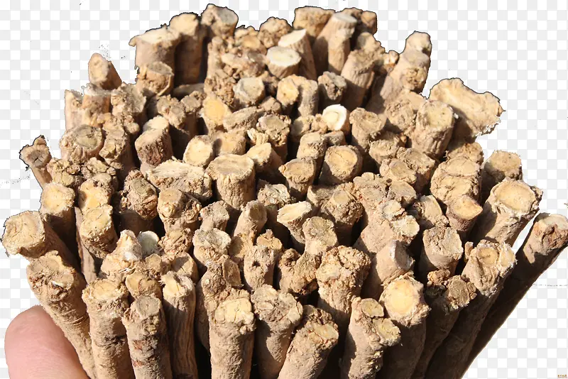 һ�ѻ���-������