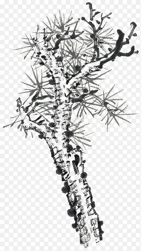 ��ɫ��ˮī��-������