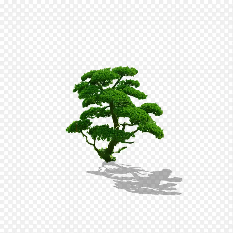 ���������-������