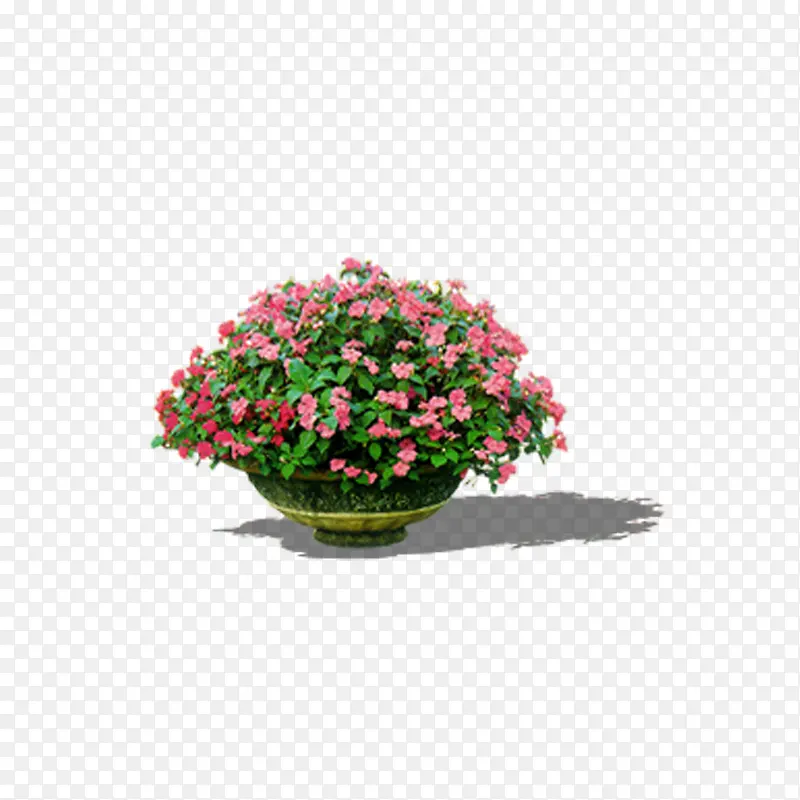 ���������-������