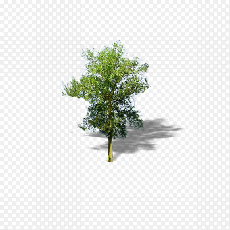 ���������-������