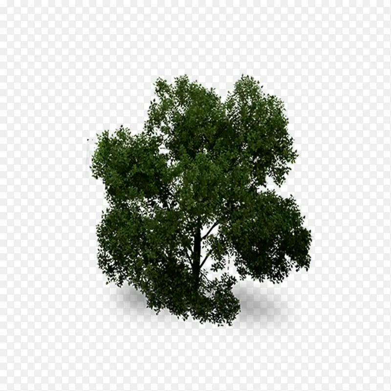 ���������-������