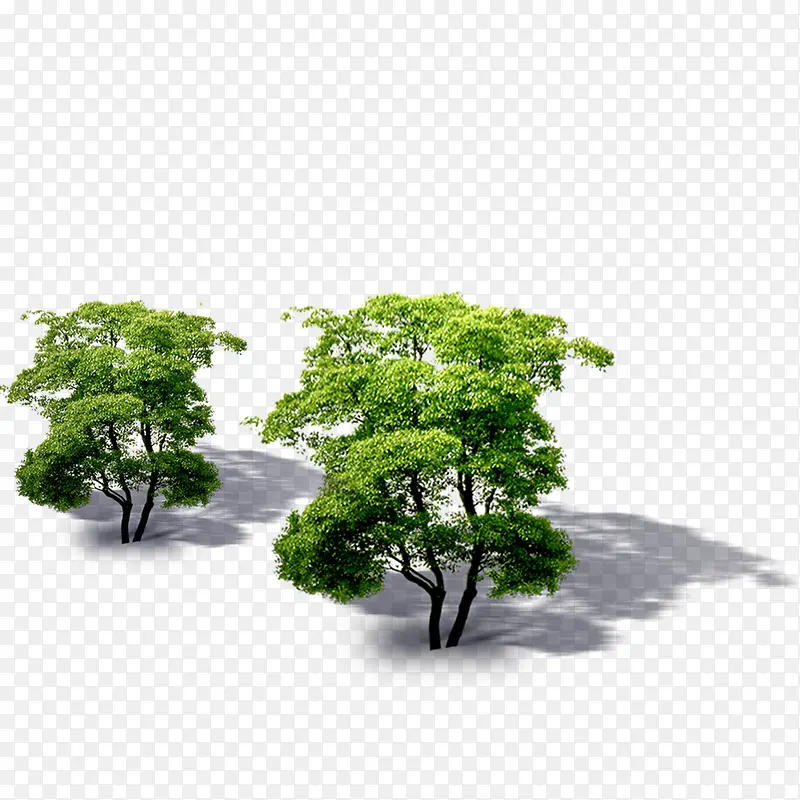 ���������-������