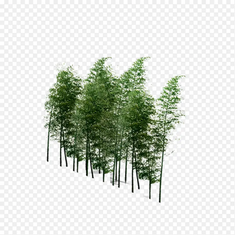 ���������-������