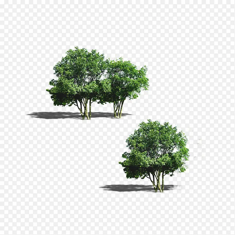 ���������-������