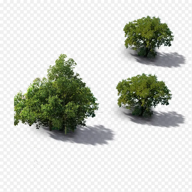 ���������-������