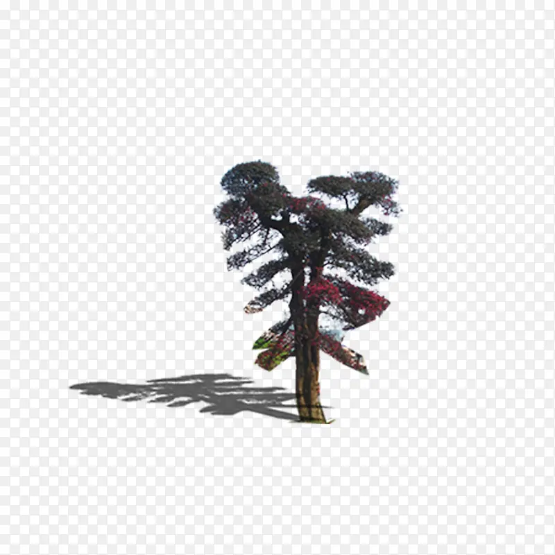 ���������-������