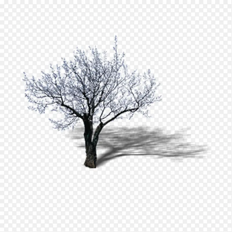 ���������-������