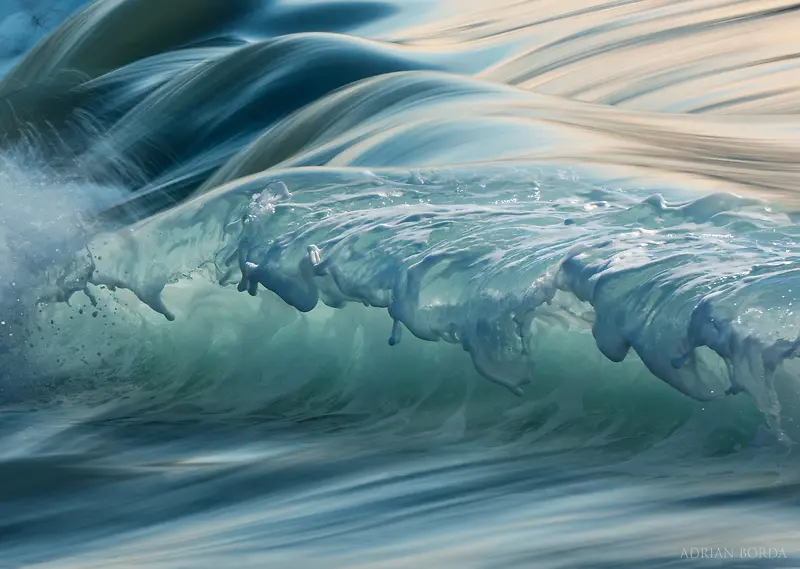 ���θ�����Ӱ��ɫ-������