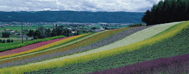 Ψ��������Ӱ�羰ͼ-������