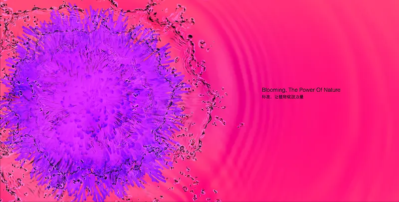 ����ɫ��ϵ��̺���-������