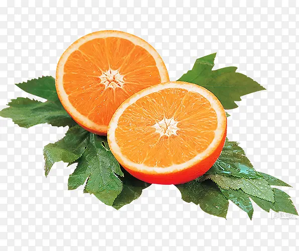 ��ɫ����-������