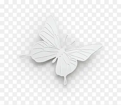 ��ɫ��������-������