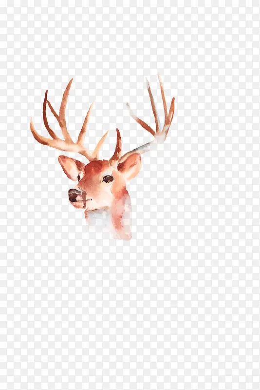 �ֻ���¹-������