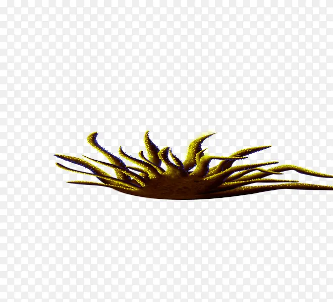 ��-������