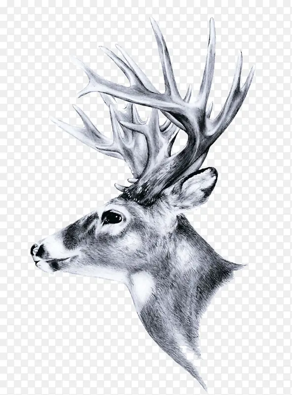 ����-������