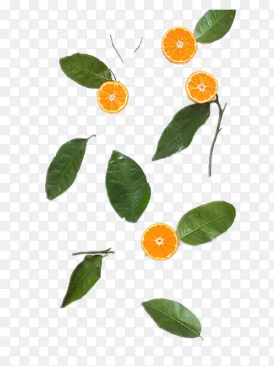 ����-������