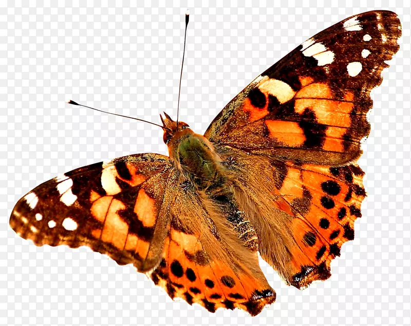 �������洫����ͯ������-������